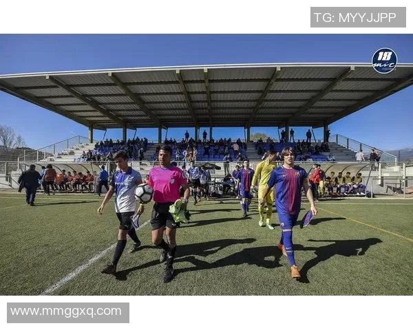 张秀英独家分享足球心得与技巧探讨助你提升球技与战术理解