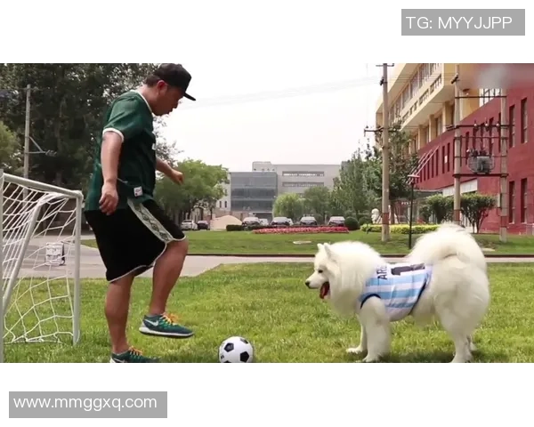 时尚与运动完美结合足球狗外套让你的宠物成为场上焦点