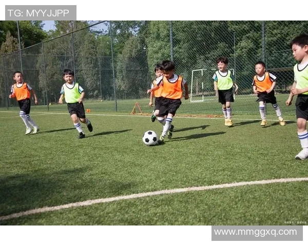 老蔡足球：激情与梦想交织的绿茵场上，追逐属于我们的胜利与荣耀